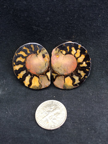 Hematite Ammonite pair #3