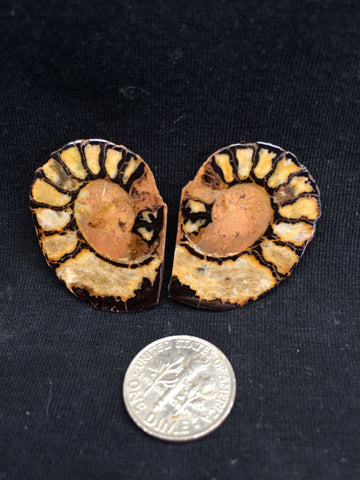 Hematite Ammonite pair #2