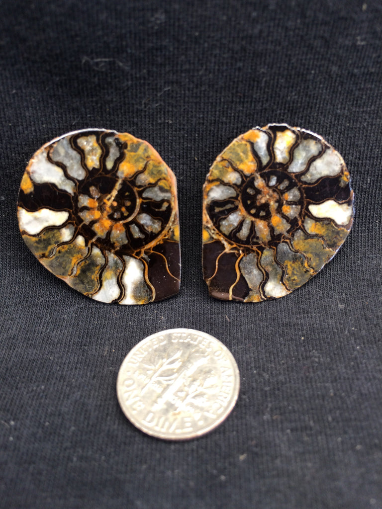 Hematite Ammonite pair #1