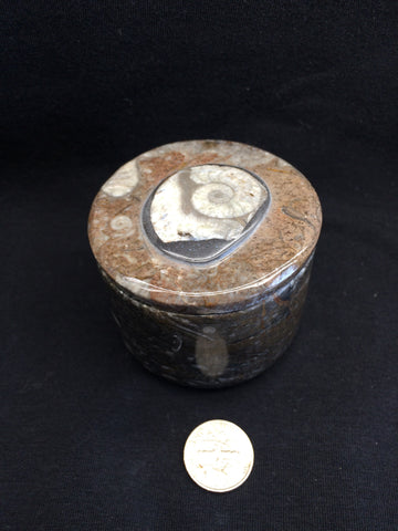 Ammonite jar #1